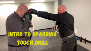 intro to sparring the touch drill